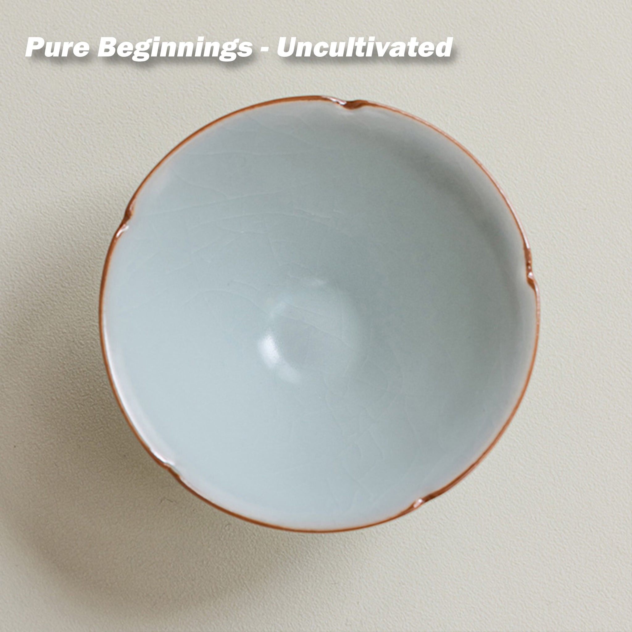 The Meditator's Cup