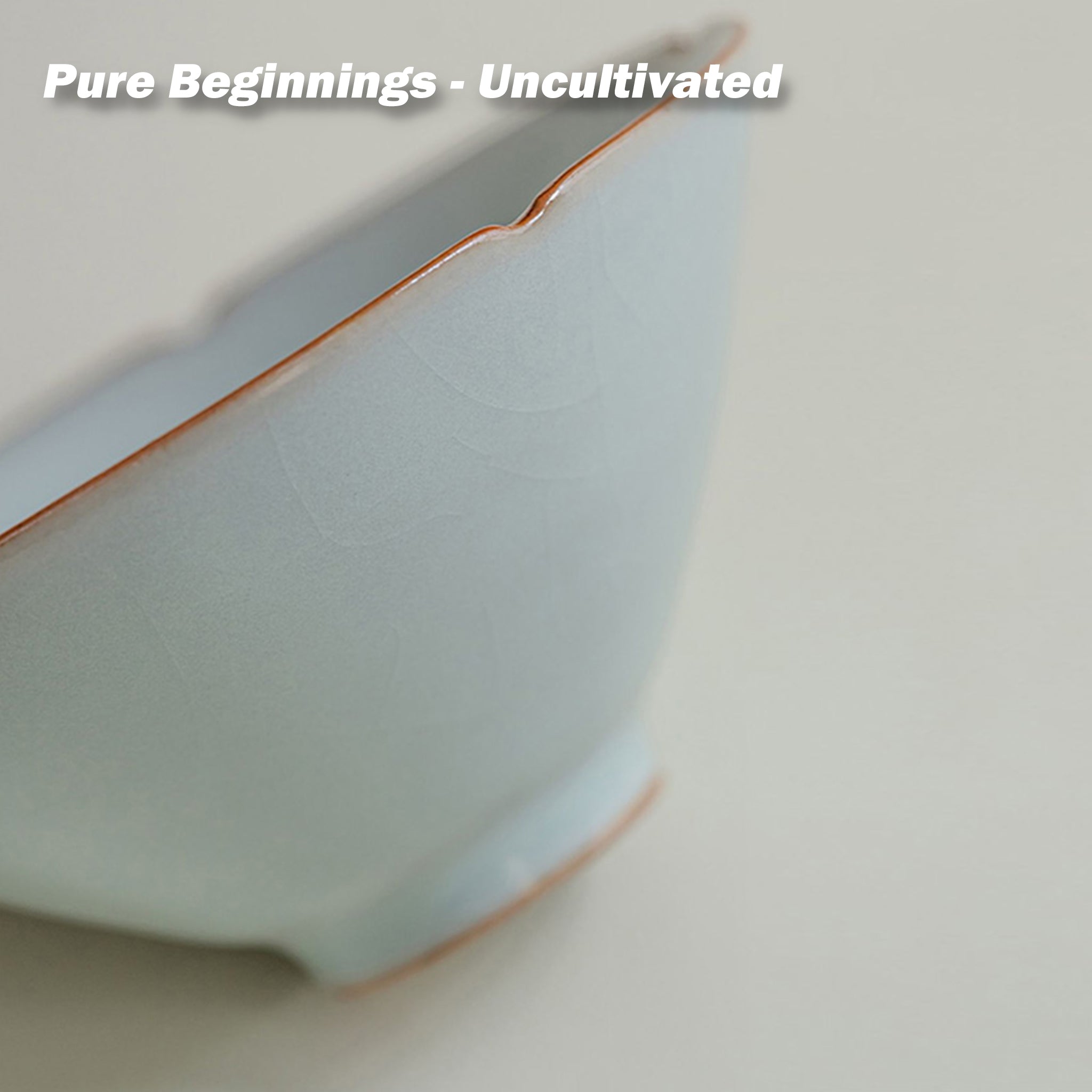 The Meditator's Cup