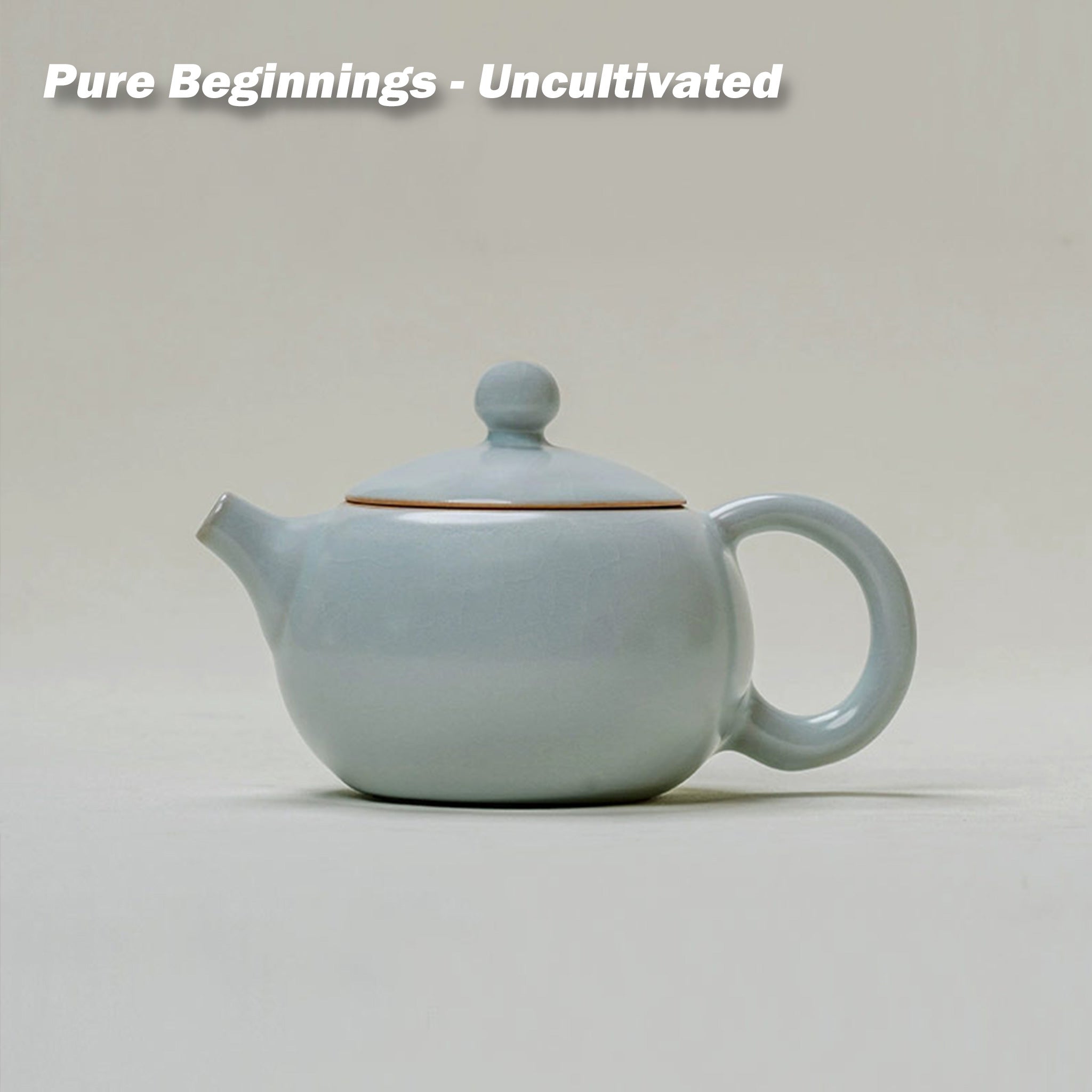 The Meditator's Cup